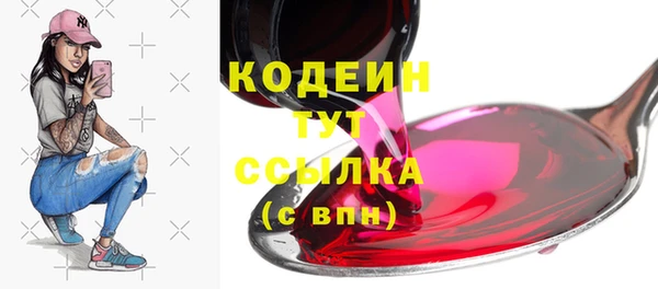 прущие грибы Медвежьегорск
