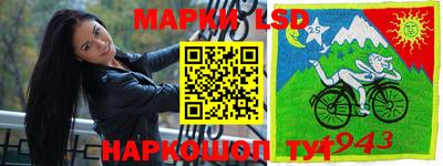МДПВ Бийск