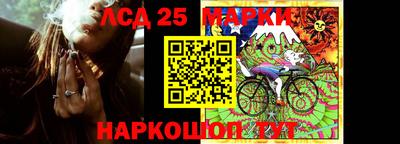 прущие грибы Будённовск