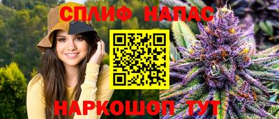 МДПВ Бийск