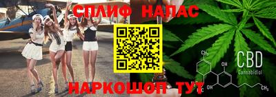 МДПВ Бийск