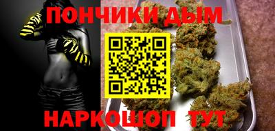 МДПВ Бийск