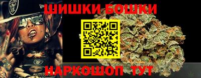 прущие грибы Будённовск