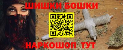 прущие грибы Будённовск