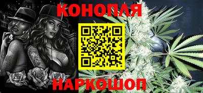 прущие грибы Будённовск