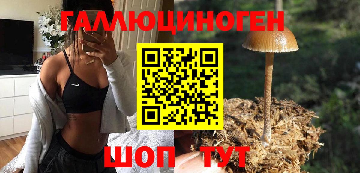 Псилоцибиновые грибы мицелий  Вход с VPN  Десногорск 