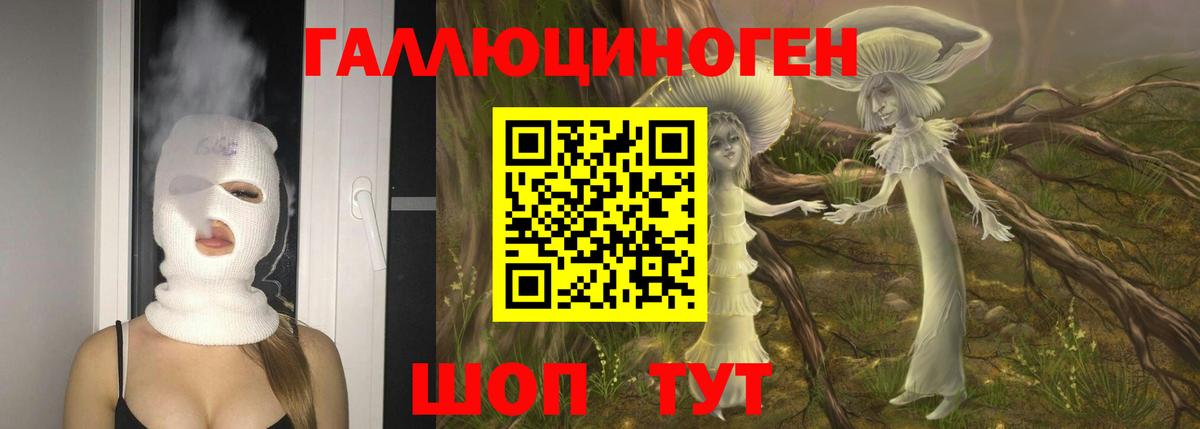 Галлюциногенные грибы мухоморы Десногорск