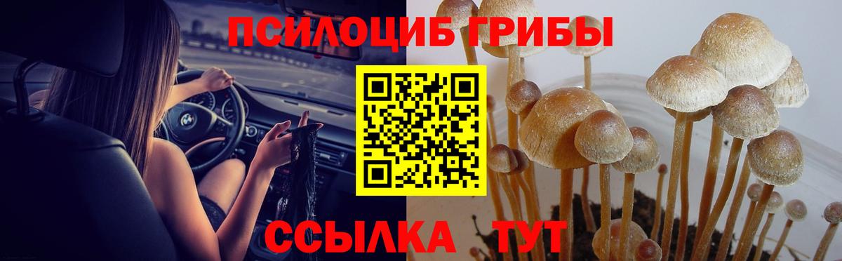 Галлюциногенные грибы GOLDEN TEACHER Десногорск